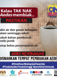 One Hour Malaysia Clean Up: Pembiakan Aedes di Kolah Air